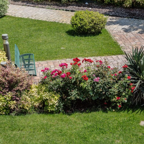 GIARDINO2